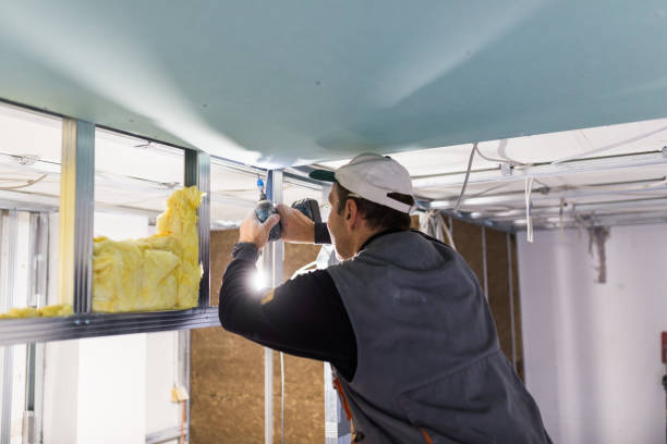 Best Specialized Insulation Services in Pleasant Grove, OH
