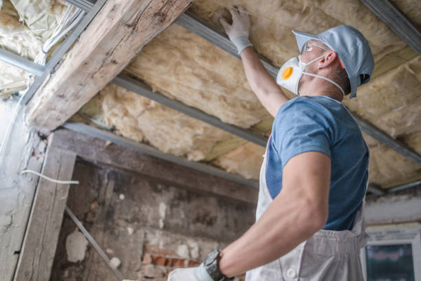 Best Insulation for Specific Applications in Pleasant Grove, OH